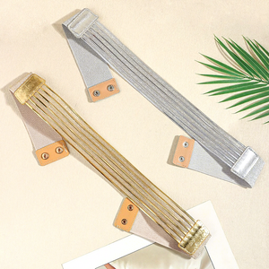 Ceintures pour femmes, accessoires de mode européens et américains, nouvelle collection 2026, en plastique doré décoratif, élastiques, larges, tendance - Product Image 5