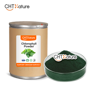 Poudre de chlorophylle naturelle soluble dans l'eau, marque privée OEM CHTNature - Product Image 3