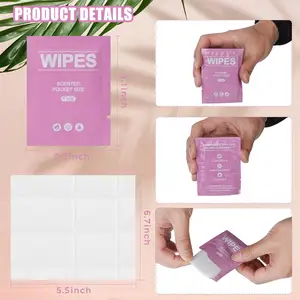 Individually Wrapped Adult Cleansing Flushable Wipes Alcohol-free Butt Wipes For Home And Outdoor Use