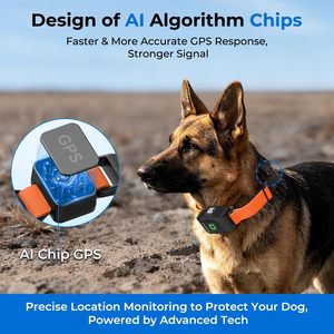 Collier Électronique Sans Fil GPS Invisible Rpz pour Chien avec Application, Système d'Entraînement pour Animaux de Compagnie Sans Abonnement, Orange - Product Image 2