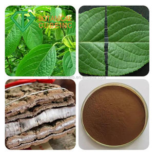 Extrato de eucommiae cortex/eucommiae, suprimento de fábrica, extrato de ervas, de eucommiae - Product Image 4