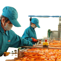 Reiniging Van Vers Fruit Die De Volledige Verwerkingsfabriek Voor Vruchtensap Ontzuigt