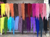 Amaranthus Merah Putih Hitam Beku Awet Segar Asli Bunga Kering untuk Acara Pernikahan Dekorasi Rangkaian Bunga DIY