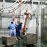Ligne de production d'abattage multi-espèces conforme à la norme Halal pour le bétail destinée à l'exportation sur le marché musulman