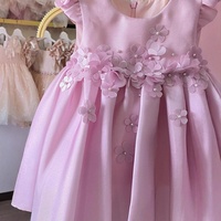 Robe de princesse pour bébés filles européennes et américaines de 3 à 8 ans, nouveau modèle 2026, jupe rose moelleuse, douce et mignonne, en polyester, toutes saisons