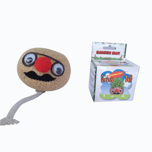 Grashoofd Pop Kit Leuk <span class=keywords><strong>Diy</strong></span> Planter Voor Kinderen Decoraties Educatief Stengel Speelgoed Uniek Verjaardagscadeau - Product Image 1