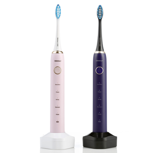 2022 OEM Magnet Brush Motor Electric Toothbrush Portable Waterproof USB Rechargeable Sonic Toothbrush Customization
