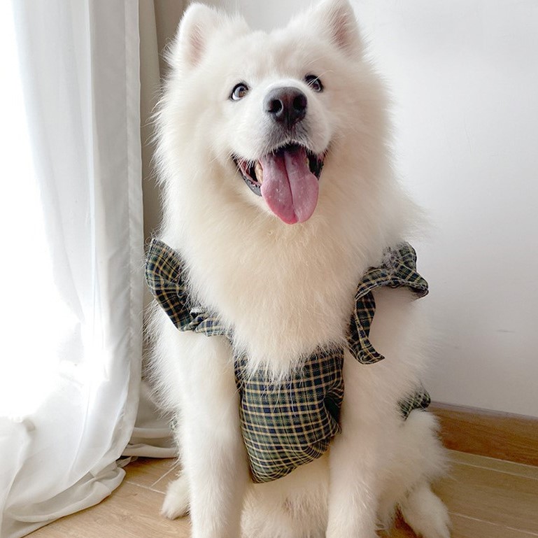 dog green dress Luxurious Handmade Dark Green Corduroy Dog Dress for Haute Couture Pets