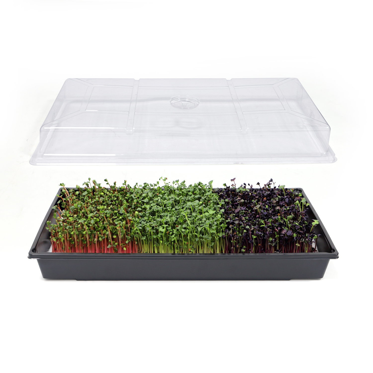 sara33 植物の発送は6/13~です　グレー 1020プラスチック苗トレイ植物成長マイクログリーン発芽トレイ