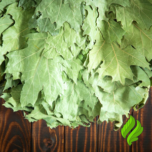 Balai fouet de sauna artisanal en bois de chêne canadien naturel de haute qualité pour le bain, le spa, le massage corporel et le bien-être, directement du fabricant - Product Image 2