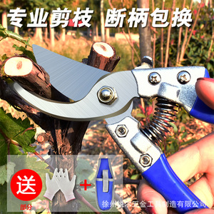 Ruier Garden Shears Stainless Steel Bypass Pruner 20-30 Mm Blue Butterfly Design For Tree Flower Fruit Trimming - Product Image 3
