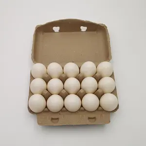 Bandeja de incubadora de huevos, línea de producción de cartón Biodegradable, embalaje de papel de pulpa para huevos