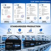 Batterie LiFePO4 12V 100Ah 200Ah 300Ah 600Ah 1280Wh à cycle profond, personnalisable, OEM, vente en gros, directement de l'usine, pour distributeurs en gros