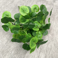 DKB Simulation Feuille D'eucalyptus Feuille Verte Fraîche Décoration Intérieure Plante En Pot