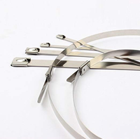 Attaches en acier inoxydable 304, 100 pièces, 4,6*300 mm, attaches métalliques pour clôtures extérieures et applications de fixation