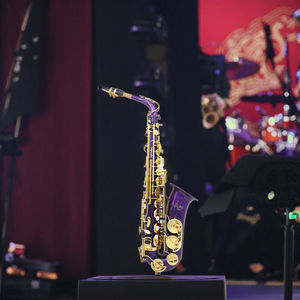 <span class=keywords><strong>Saxophone</strong></span> <span class=keywords><strong>alto</strong></span> étudiant adulte commerce extérieur avec goutte de laque d'or E conduit en laiton violet BB & EB ton - Product Image 4