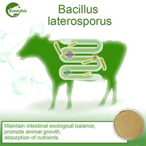 Fertilizante biológico de alta calidad para aditivos alimentarios, <span class=keywords><strong>Bacillus</strong></span> subtilis. - Product Image 5