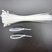 Attaches-câbles autobloquantes en nylon PA 66 blanc, résistantes aux chocs, durables, 200 mm * 5 mm, 8 pouces, applicables pour le regroupement de fils, tuyaux et outils