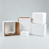 Boîtes d'expédition isothermes en mousse, cartons de transport en polystyrène pour la chaîne du froid, emballages isolants blancs