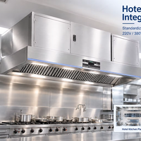 Machine intégrée de purification des fumées d'huile en gros, hotte de cuisine électrostatique commerciale avec ESP lavable pour revendeurs
