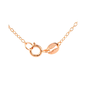 TD Collette Z argento Sterling bella collana pendente con zirconi cubici cuore rosa