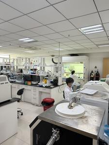 Самый продаваемый высококонцентрированный пробиотик в порошке Lactobacillus Plantarum CCFM1143 - Product Image 4