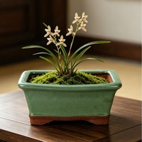 Pot à fleurs rectangulaire en céramique émaillée de style chinois pour bonsaï d'intérieur, résistant aux fissures