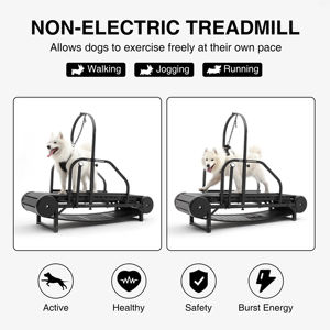 Cinta de correr inteligente y potente para perros, plegable, para rehabilitación, pérdida de peso y fitness. En stock en EE. UU. - Product Image 3