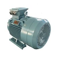 Moteur asynchrone triphasé GEXIN YE3-315L2-2P-200KW 220HP 380V/220V/440V 50/60Hz 3000 tr/min IE3 IE2 IE1 à montage sur pied 100% cuivre