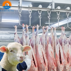 Ligne d'abattage de moutons et d'<span class=keywords><strong>agneaux</strong></span> ZBHT à haute efficacité avec roulements en acier inoxydable, équipement d'abattoir - Product Image 1