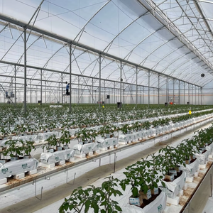 Système d'agriculture intelligente en <span class=keywords><strong>PVC</strong></span>, culture hydroponique sans sol, <span class=keywords><strong>gouttière</strong></span> verticale en <span class=keywords><strong>PVC</strong></span> pour substrat de serre - Product Image 2