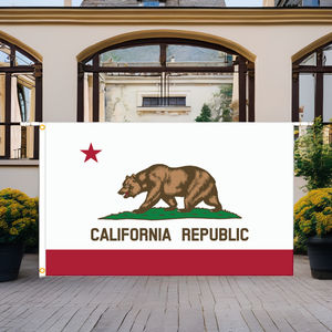 Gran oferta, diseño de logotipo personalizado, banderas, trébol de cuatro hojas, sin decoloración, impresión a doble cara, campaña publicitaria, pancarta al aire libre - Product Image 4