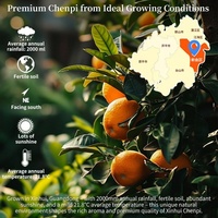 Peaux d'orange séchées naturelles à prix abordable, petites tranches de peau de mandarine, sans additifs, pour thé aux fruits