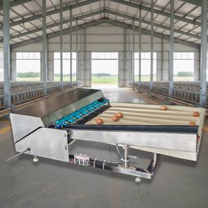 เครื่องคัดแยกไข่แบบดิจิตอล 220 โวลต์ ขนาดกะทัดรัด ทำจากสแตนเลส ใช้ระบบลูกตุ้ม  สามารถคัดแยกไข่ได้ 2000 ฟองต่อชั่วโมง ระบบคัดแยกอัตโนมัติ - Product Image 3