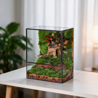 Terrarium de mousse stabilisée, mini paysage artistique dans une boîte en acrylique, mousse séchée naturelle, ornement de bureau, vente en gros, décoration de table pour la maison et le bureau