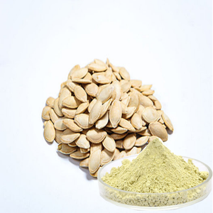 Bulk Pompoenzaad Extract Supplementen Food Grade Organische Pure Pompoen Proteïne Poeder - Product Image 1