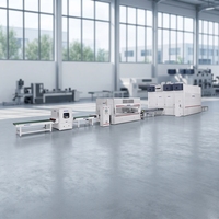 Linea di Produzione Automatica per Verniciatura a Spruzzo con Forno di Essiccazione Verticale a Movimento Alternato