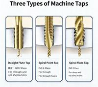 Tian gong Brand M6542 High Speed Steel Tap Titanium Nitride Coating for Iron Alloy and Mild Steel Tapping Work