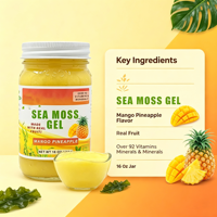 Prix de gros : Packs de gel en vrac de mousse de mer aux myrtilles irlandaises pour le soutien immunitaire des adultes