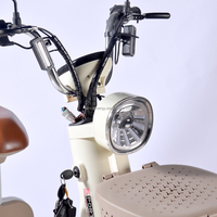 Vélo électrique chinois, vélo électrique 48V, vélo électrique Ebike à vendre