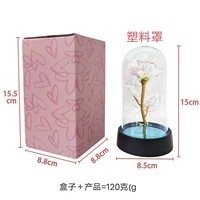 L0664 Cadeau de Saint-Valentin Guirlande lumineuse à LED Colorful 24k Gold Foil Rose Flowers Enchanted Rainbow Galaxy Rose In Glass Dome