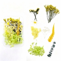 Kit de fleurs séchées vertes en boîte : mousse de renne, eucalyptus, cône de pin pour bougies parfumées DIY, couronne de Noël, décoration artisanale