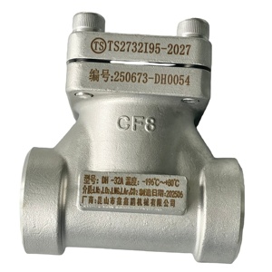 Válvulas de Retención Criogénicas de Alta Resistencia DN 32MM SS304 316 para Agua, Aceite y Oxígeno DH61F-40P con Válvula de Bola PTFE DH61F- - Product Image 6