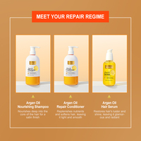 Shampooing en vrac en gros matières premières ensemble professionnel de shampoing et d'après-shampooing à l'huile d'argan biologique du maroc
