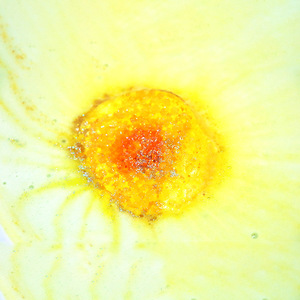 Bombes de bain aromathérapeutiques OEM en cristal, huiles essentielles de luxe, boules effervescentes au sel de mer, lavande, pour enfants, femmes, SPA, anniversaire, fête des mères - Product Image 3