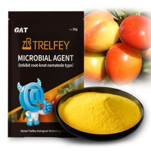 Regolatori di crescita in piante Bacillus Subtilis polvere Megaterium agenti microbici che - Product Image 5