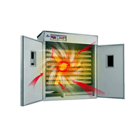 Incubateur à œufs de poulet populaire, technologie 220V-240V 50HZ, machine d'éclosion en vente