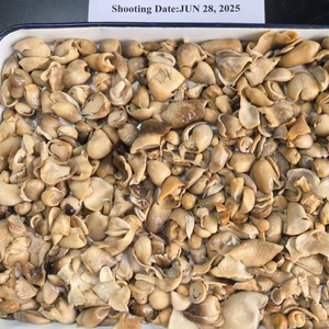 Trống đóng gói Nước muối toàn bộ rơm nấm Muối nội dung 20-22% đường kính khác nhau, từ 2 đến 2.5 cm - Product Image 3