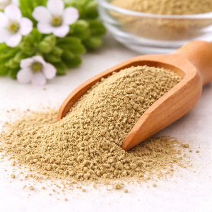 Brahmi <b>Extract</b> Natural Herbal Powder Plant <b>Extract</b> Fine Quality for Wellness Use and Bulk Supply - Product Image 2