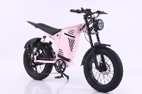 Vélo de montagne à pneus larges de 20 pouces, moteur arrière sans balais, 48V 500W, batterie au lithium 13Ah, 7 vitesses, neige, 43 km/h, freins à disque hydrauliques